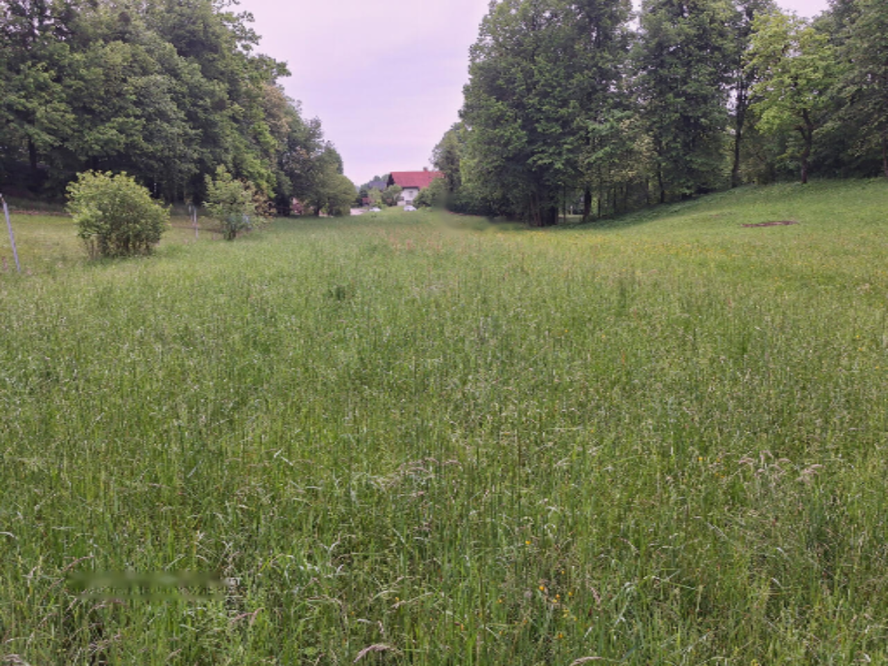 Земля в Радовлице, Словения, 1 691 м² - фото 2