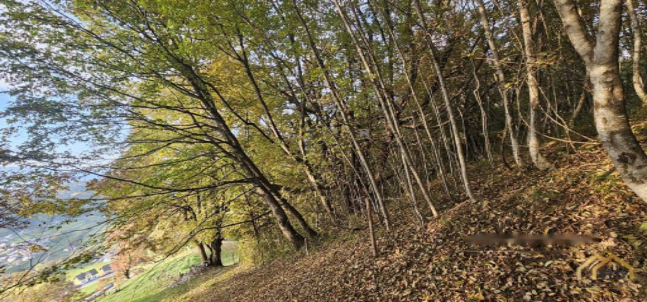 Земля в Кране, Словения, 33 465 м² - фото 2