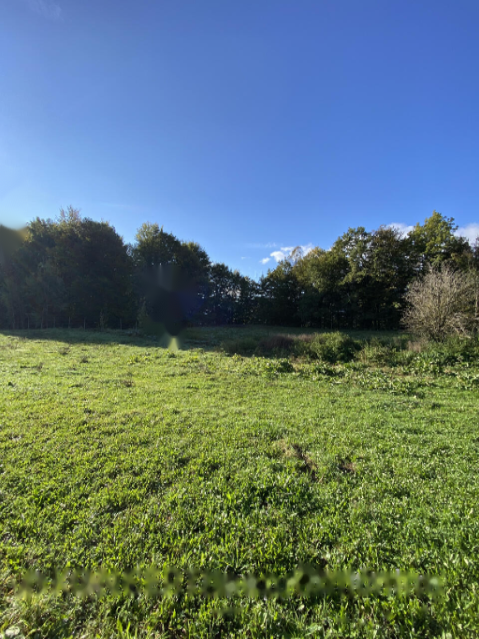 Земля в Радовлице, Словения, 85 201 м² - фото 2