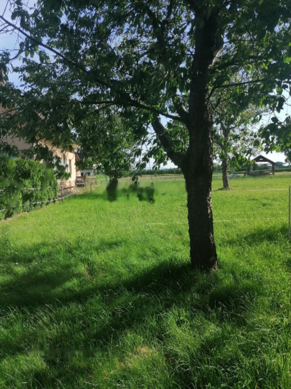 Дом в Дравограде, Словения, 193 м² - фото 2