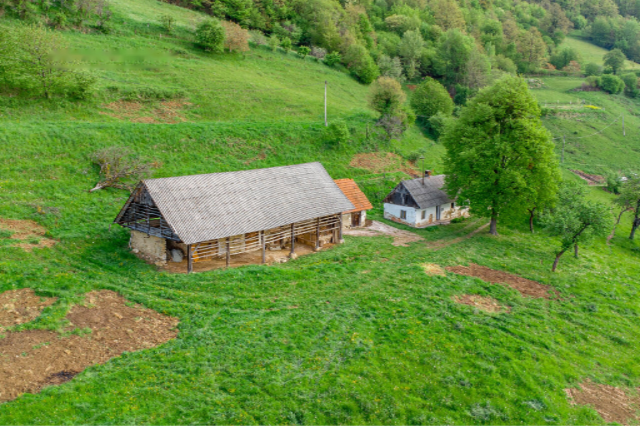 Ферма в Рогашка-Слатине, Словения, 27 572 м² - фото 2