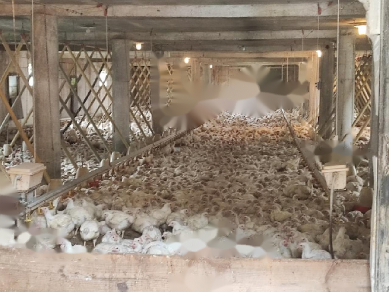 Ферма в Видеме, Словения, 170 м² - фото 2