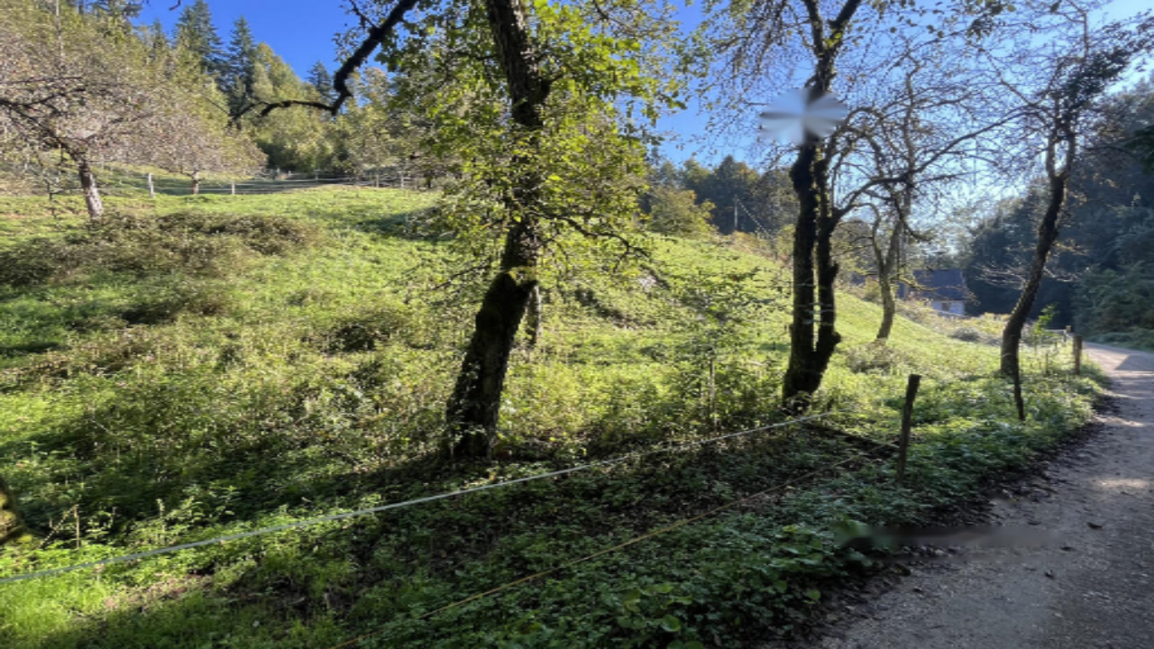 Земля в Кране, Словения, 11 586 м² - фото 3