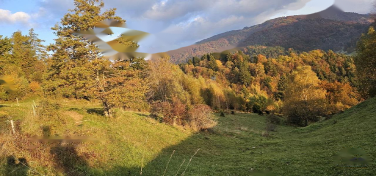 Земля в Кране, Словения, 33 465 м² - фото 3