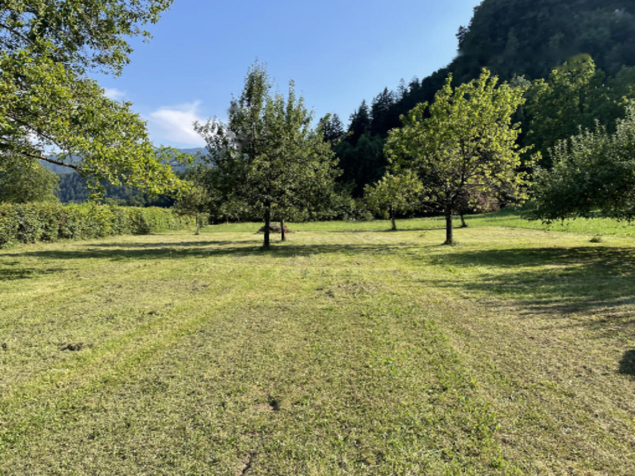 Земля в Бледе, Словения, 5 090 м² - фото 3