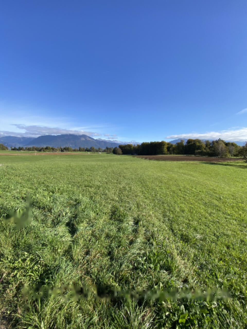 Земля в Радовлице, Словения, 85 201 м² - фото 3