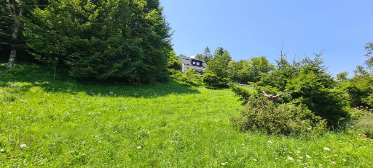 Земля в Радовлице, Словения, 5 812 м² - фото 4