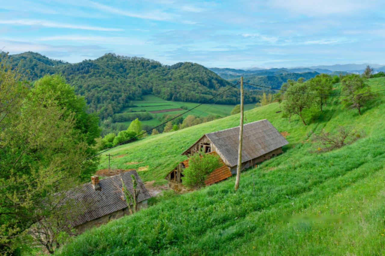 Ферма в Рогашка-Слатине, Словения, 27 572 м² - фото 4