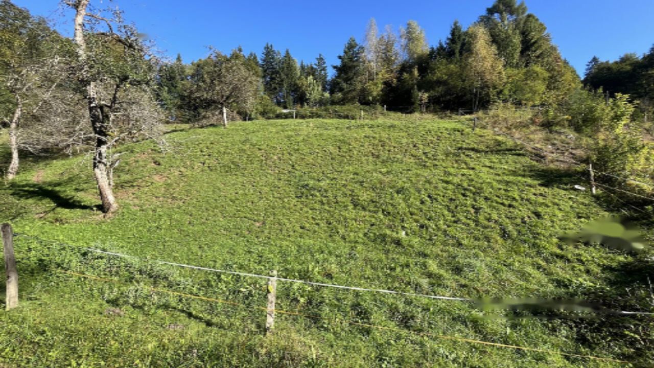 Земля в Кране, Словения, 11 586 м² - фото 4