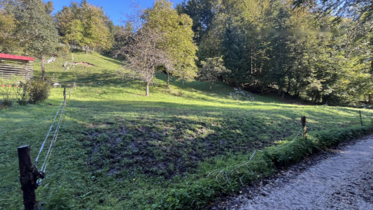 Земля в Кране, Словения, 11 586 м² - фото 5