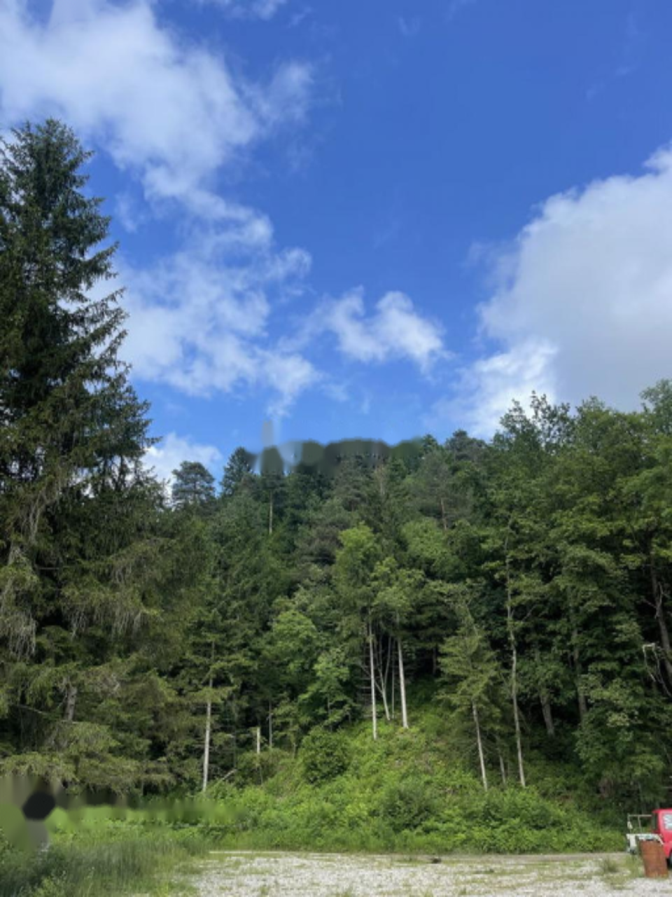 Земля в Бледе, Словения, 26 012 м² - фото 5