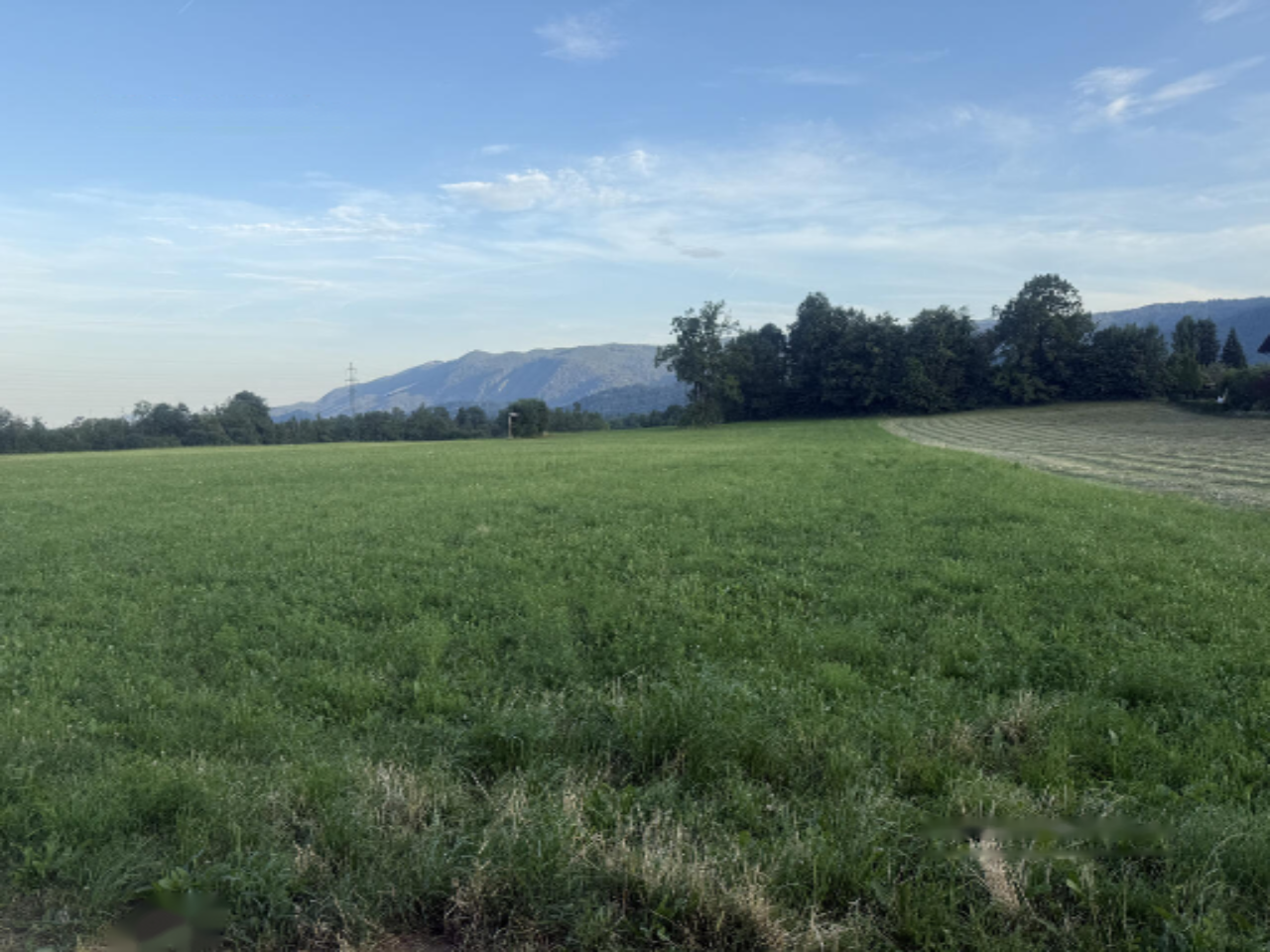 Земля в Бледе, Словения, 5 560 м² - фото 5