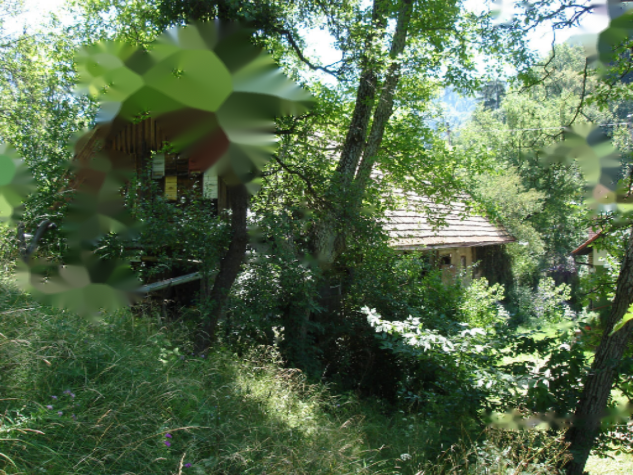 Ферма в Преболде, Словения, 81 000 м² - фото 5