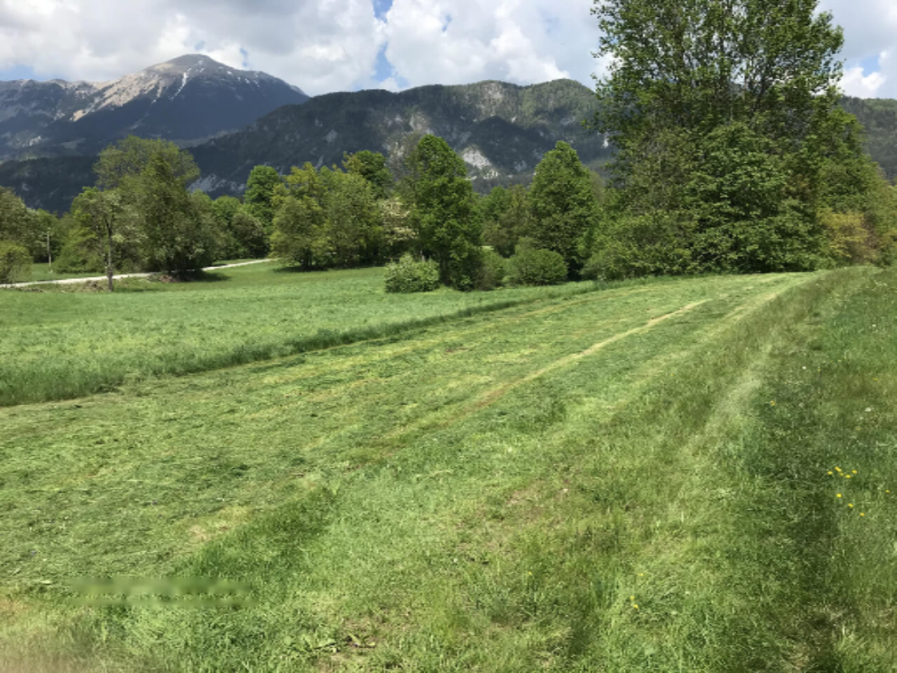 Земля в Водице, Словения, 13 325 м² - фото 5