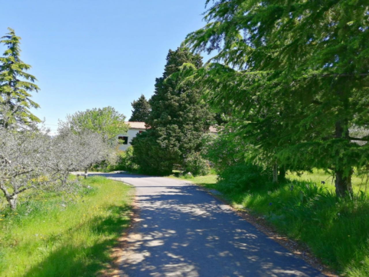 Дом в Изоле, Словения, 151 м² - фото 5