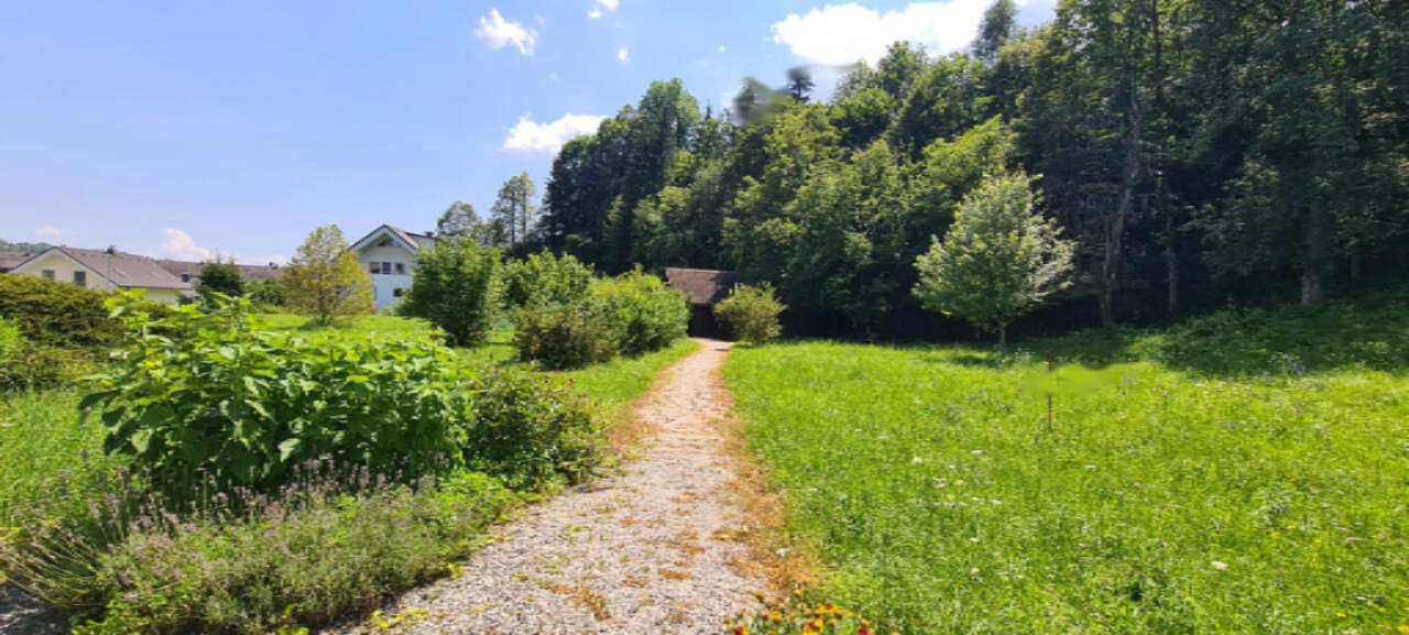 Земля в Радовлице, Словения, 5 812 м² - фото 5