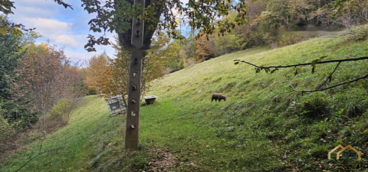 Земля в Кране, Словения, 33 465 м² - фото 6