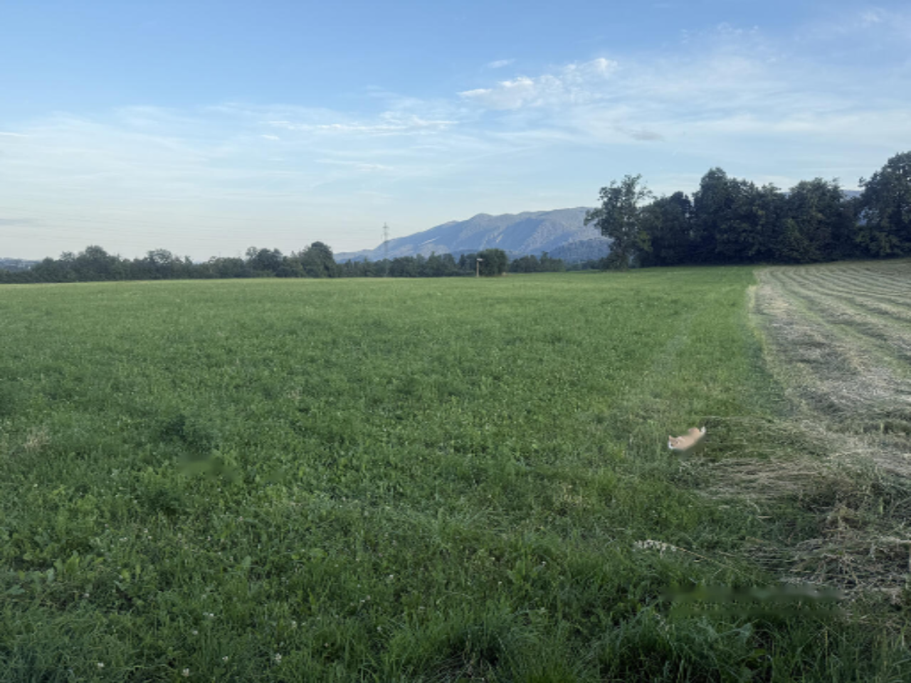 Земля в Бледе, Словения, 5 560 м² - фото 6