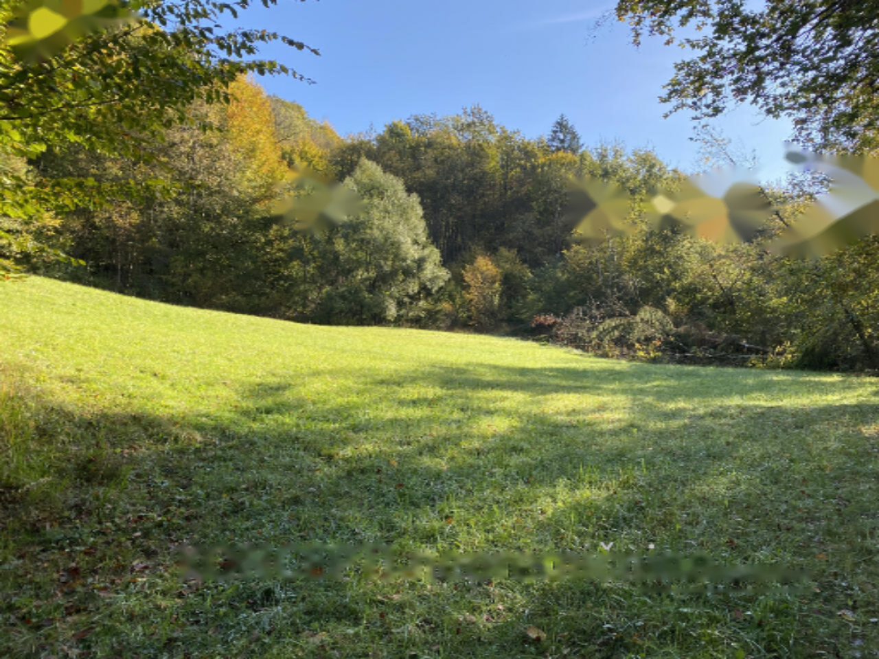 Земля в Радовлице, Словения, 85 201 м² - фото 7