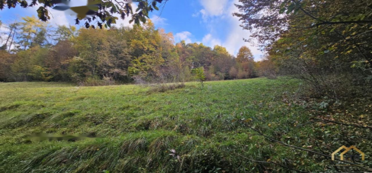 Земля в Кране, Словения, 33 465 м² - фото 7