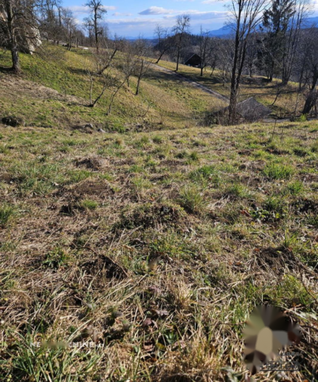 Земля в Лашко, Словения, 1 741 м² - фото 7