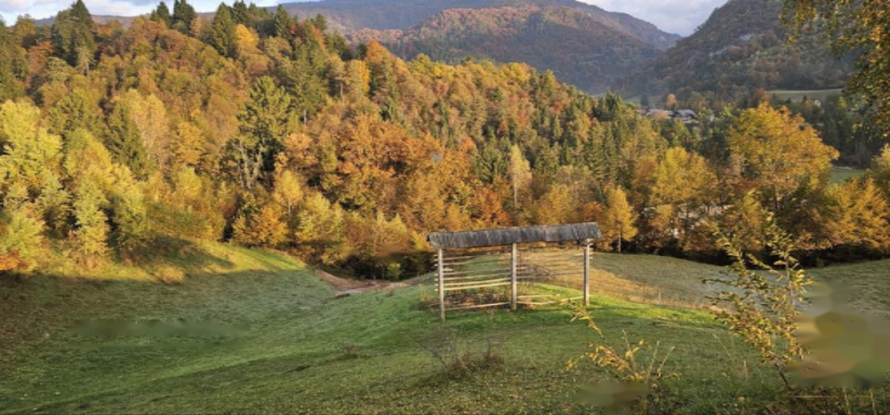 Земля в Кране, Словения, 33 465 м² - фото 8