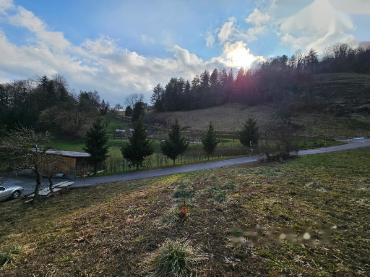 Ферма в Целе, Словения, 27 245 м² - фото 8