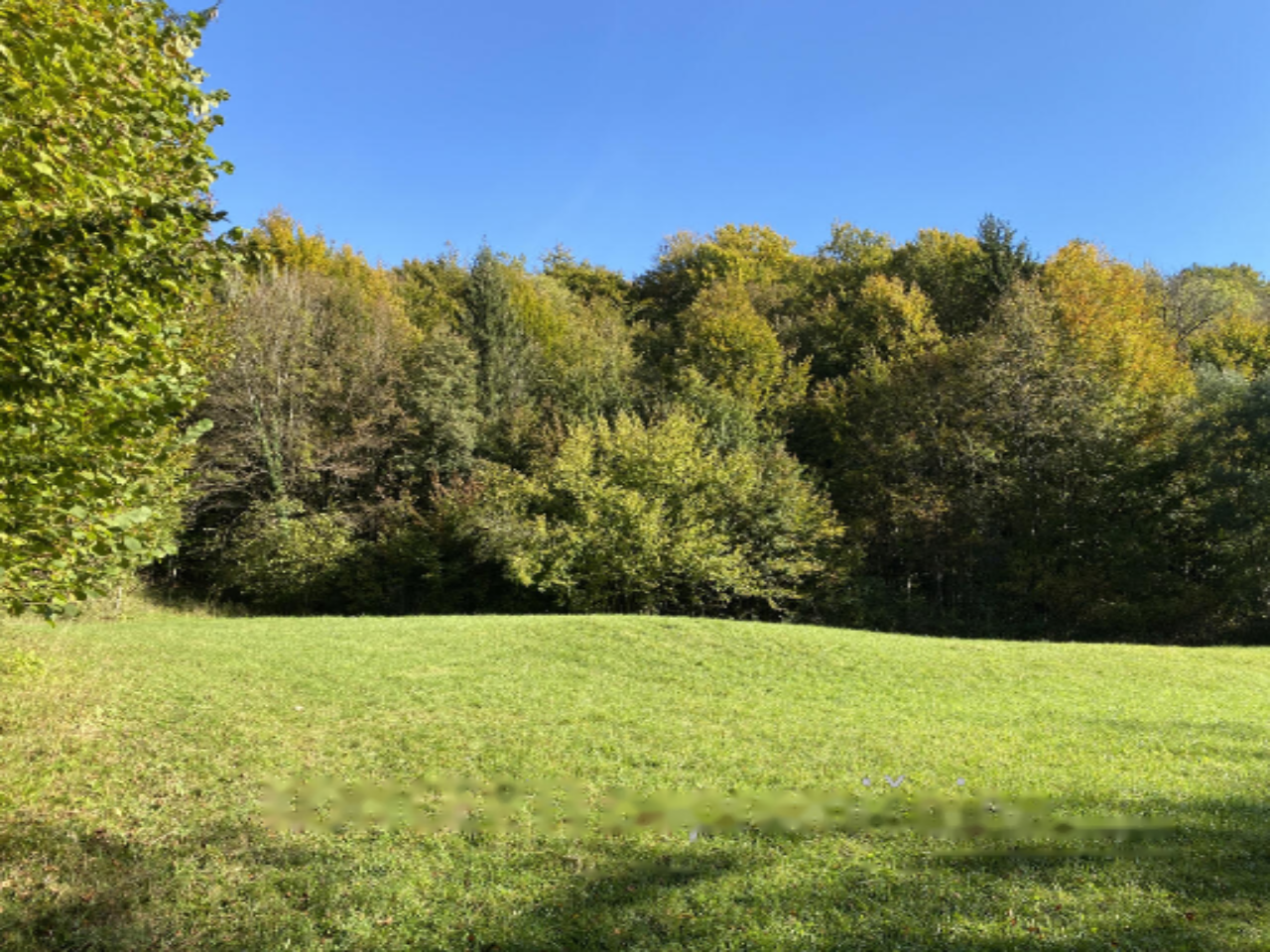 Земля в Радовлице, Словения, 85 201 м² - фото 8