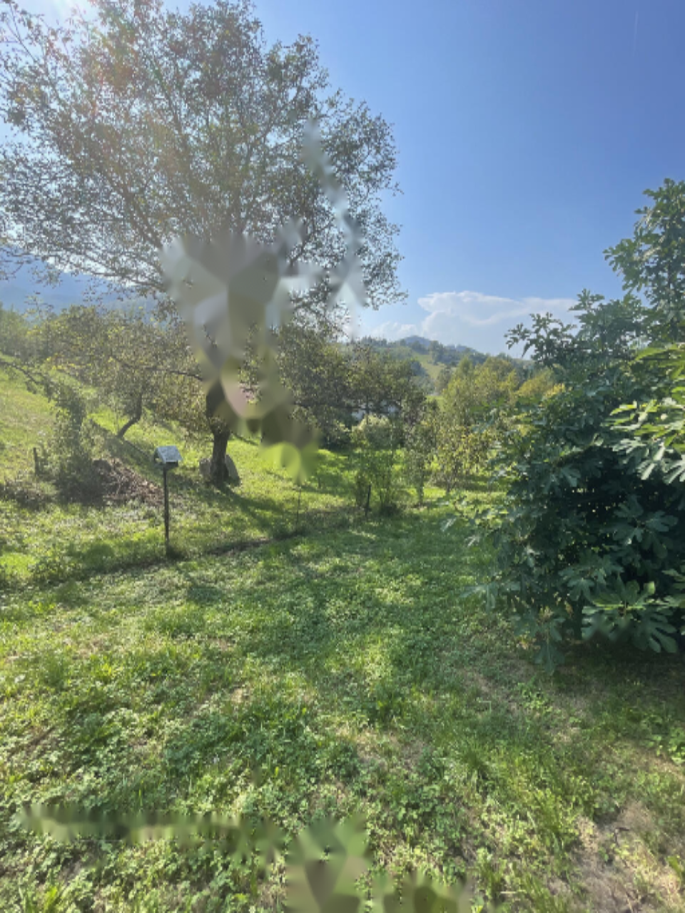 Дом в Ползеле, Словения, 75 м² - фото 8