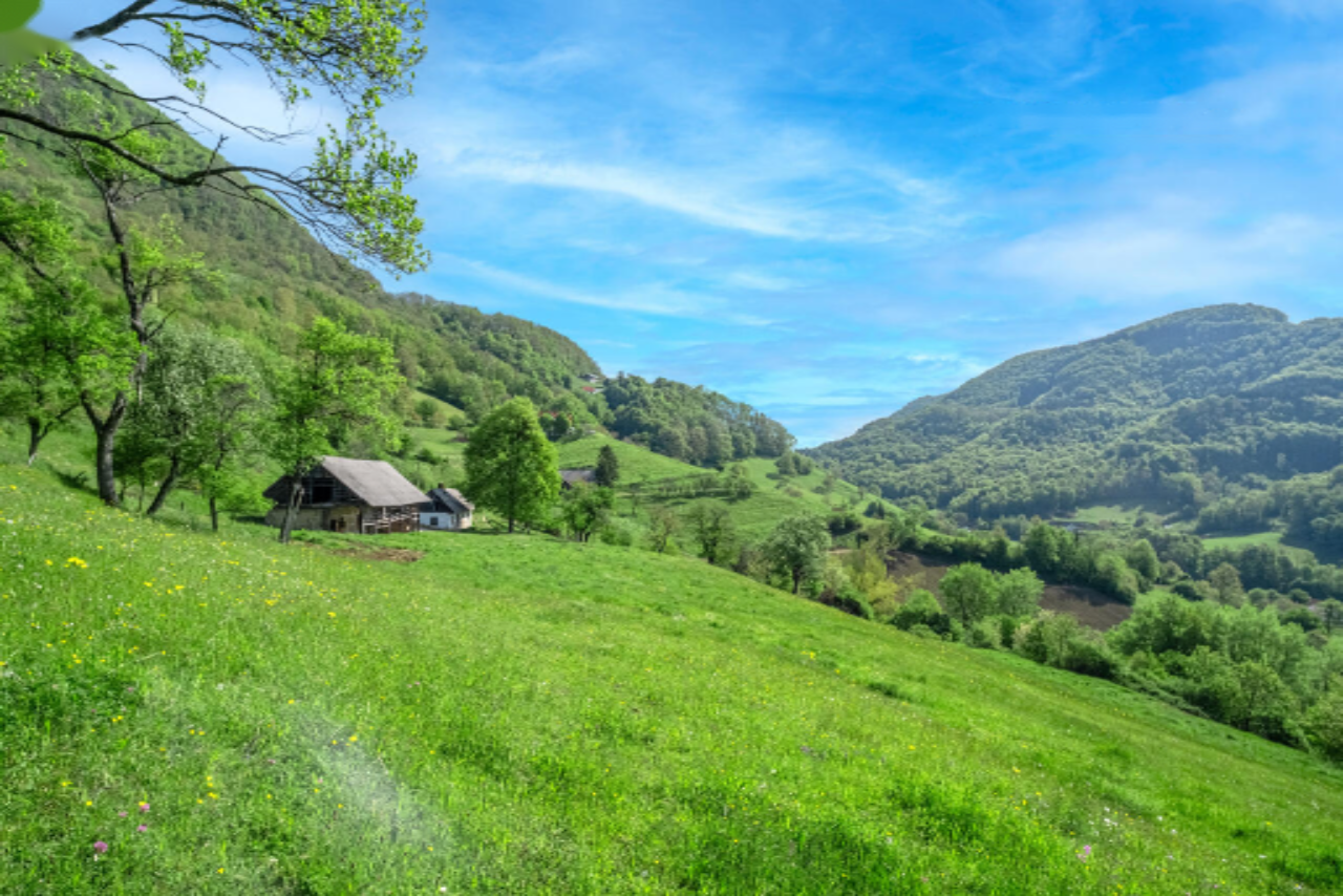 Ферма в Рогашка-Слатине, Словения, 27 572 м² - фото 9