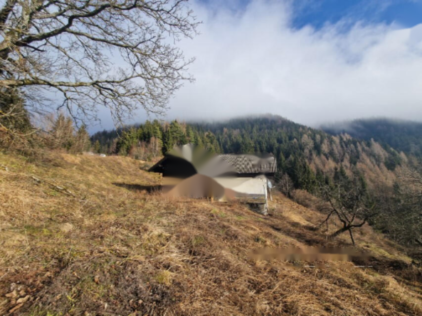 Ферма в Муте, Словения, 131 726 м² - фото 9