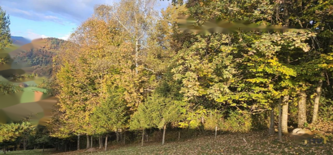 Земля в Кране, Словения, 33 465 м² - фото 9