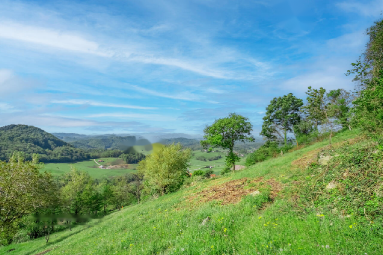 Ферма в Рогашка-Слатине, Словения, 27 572 м² - фото 10