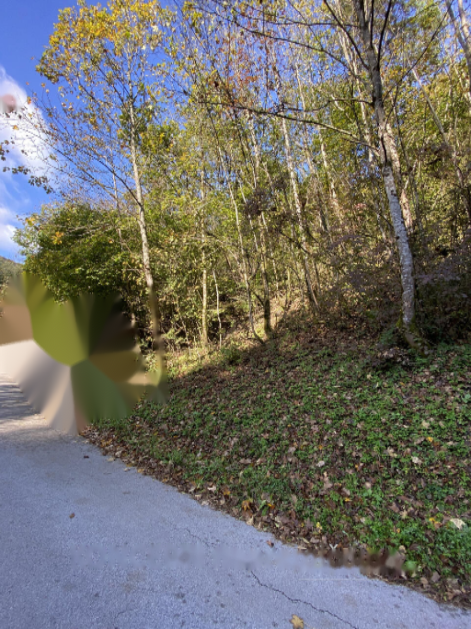 Земля в Радовлице, Словения, 85 201 м² - фото 10