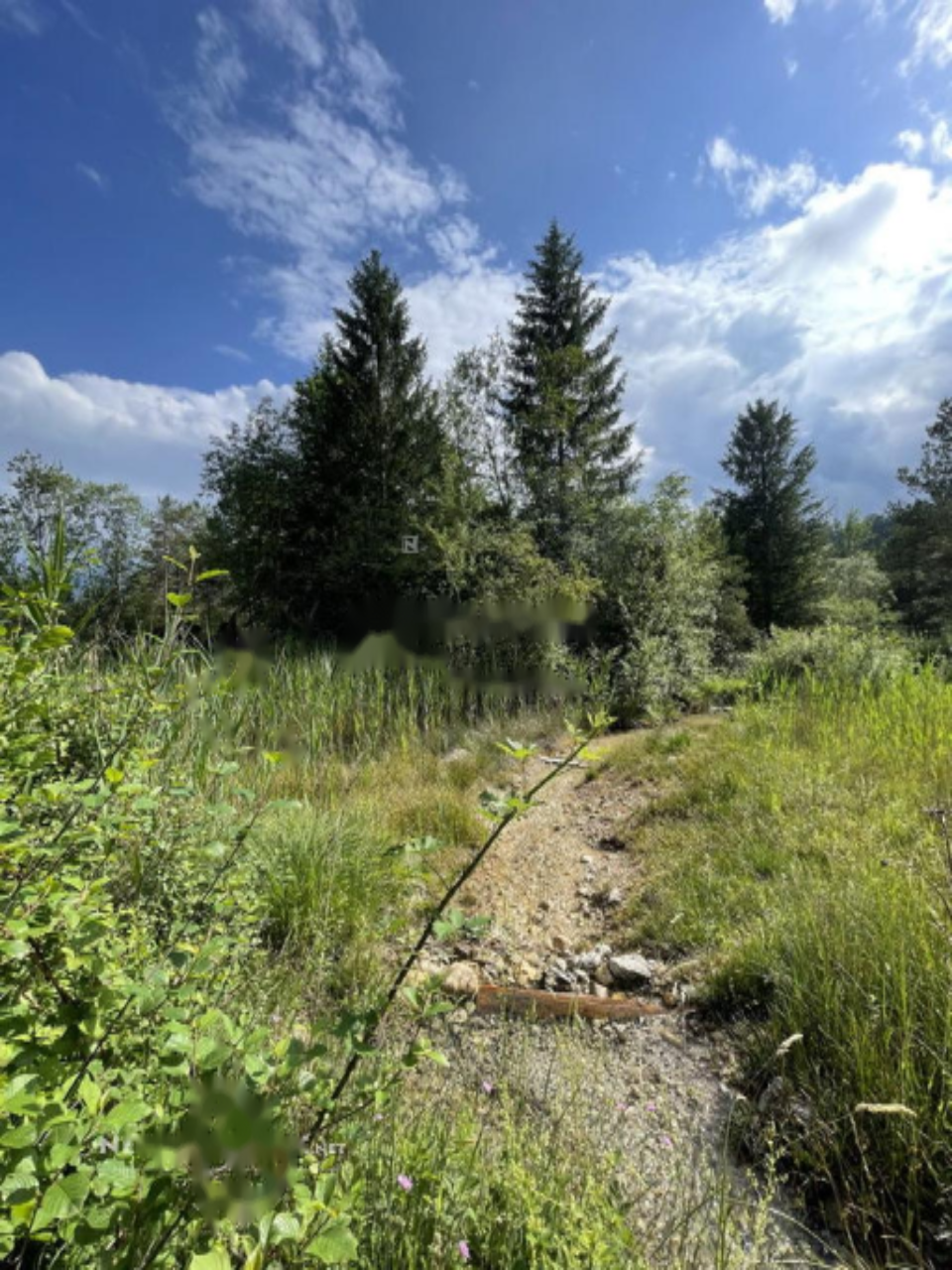 Земля в Бледе, Словения, 26 012 м² - фото 10