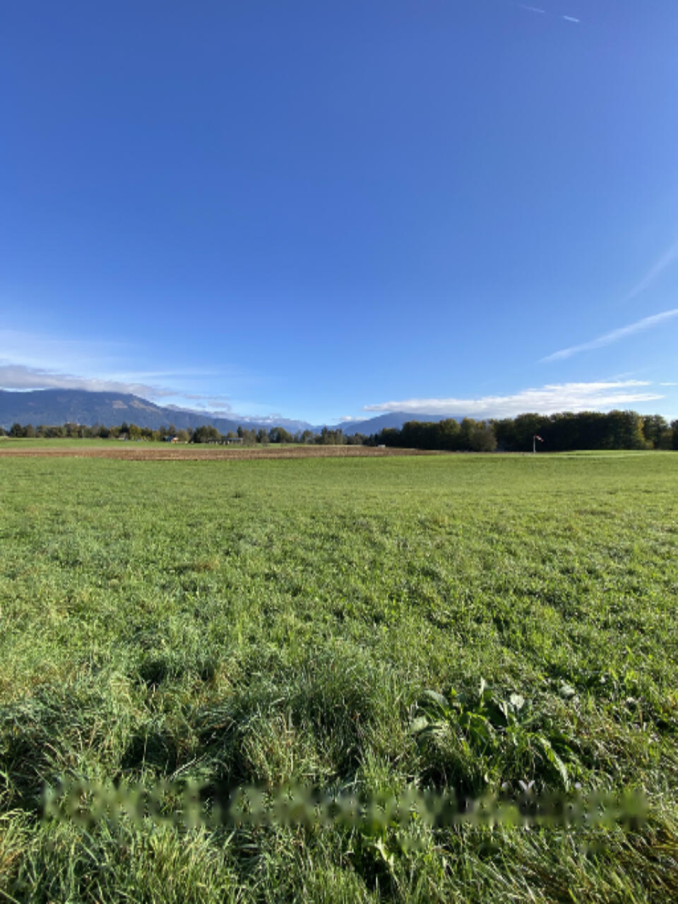 Земля в Радовлице, Словения, 85 201 м² - фото 11