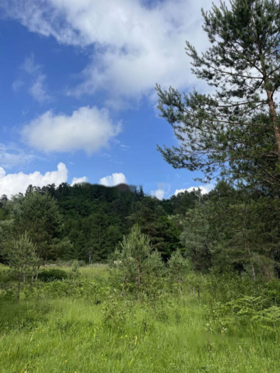 Земля в Бледе, Словения, 26 012 м² - фото 11