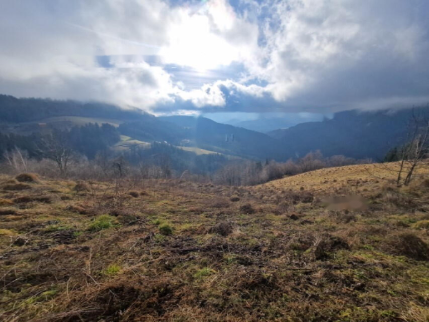 Ферма в Муте, Словения, 131 726 м² - фото 11