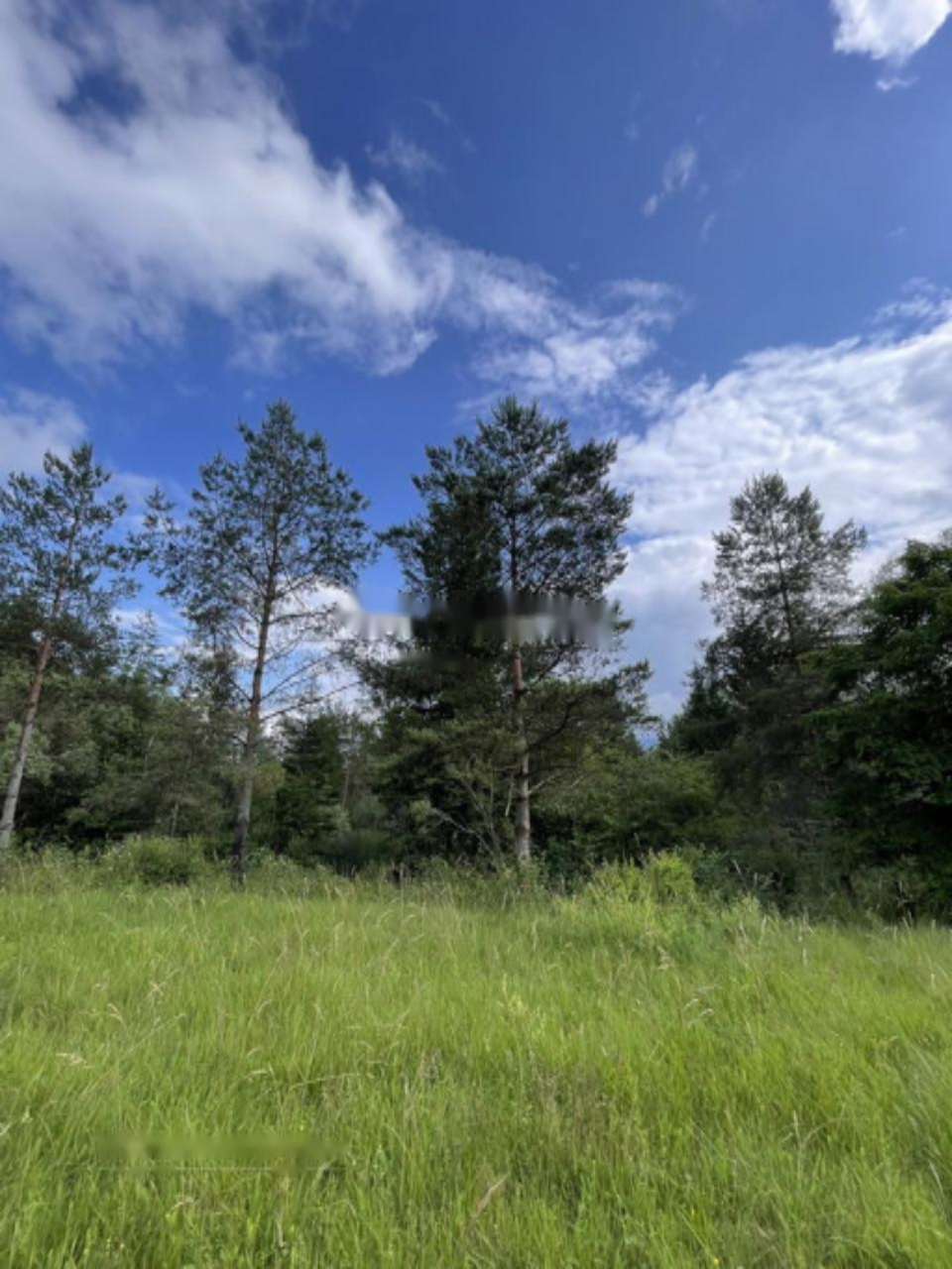 Земля в Бледе, Словения, 26 012 м² - фото 12