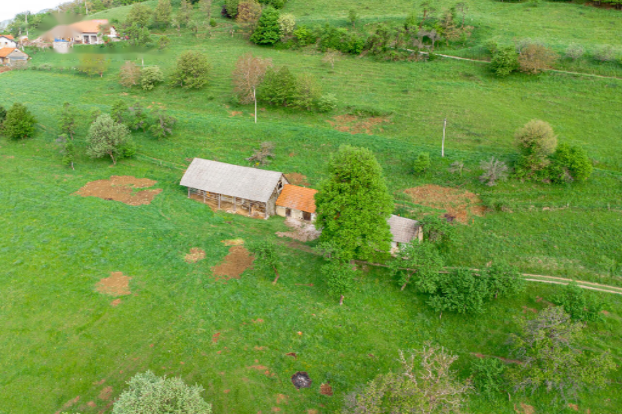 Ферма в Рогашка-Слатине, Словения, 27 572 м² - фото 12