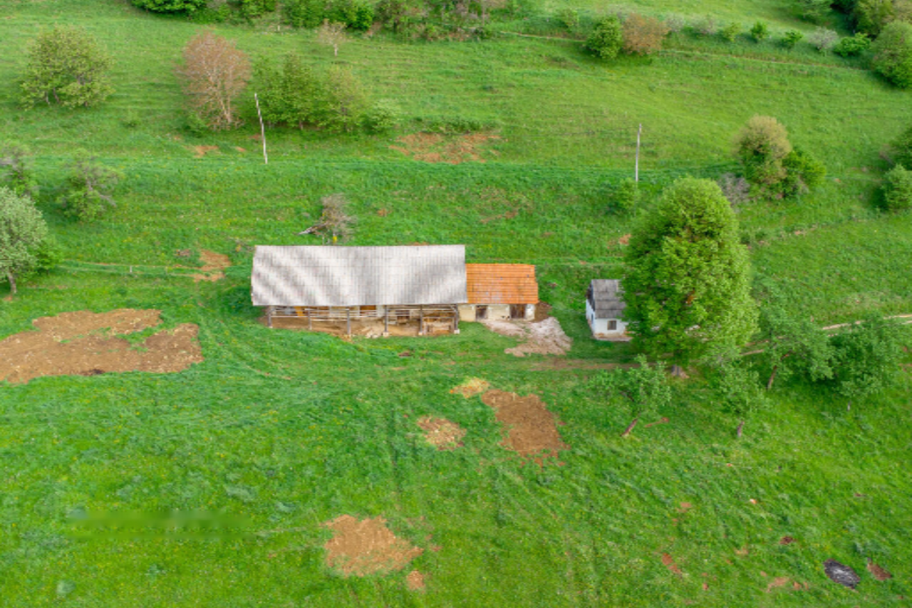 Ферма в Рогашка-Слатине, Словения, 27 572 м² - фото 14