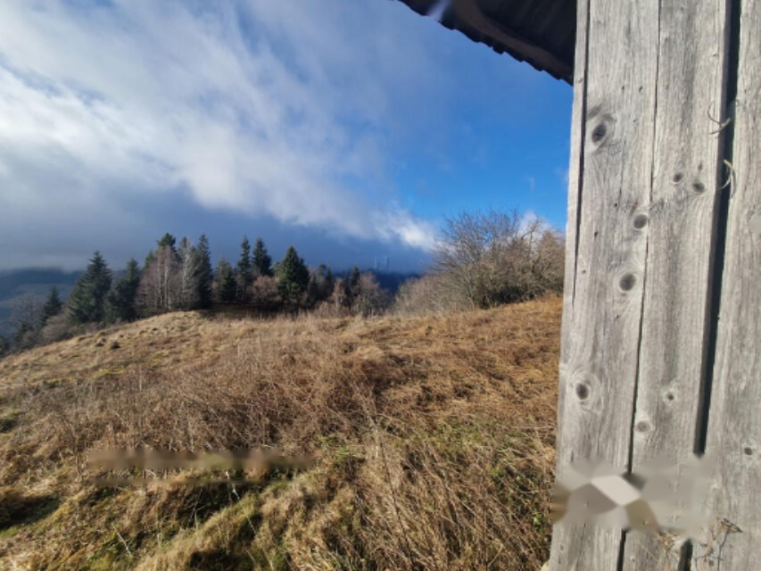 Ферма в Муте, Словения, 131 726 м² - фото 14