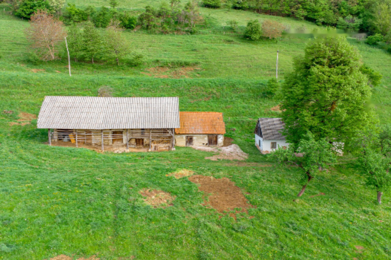 Ферма в Рогашка-Слатине, Словения, 27 572 м² - фото 15