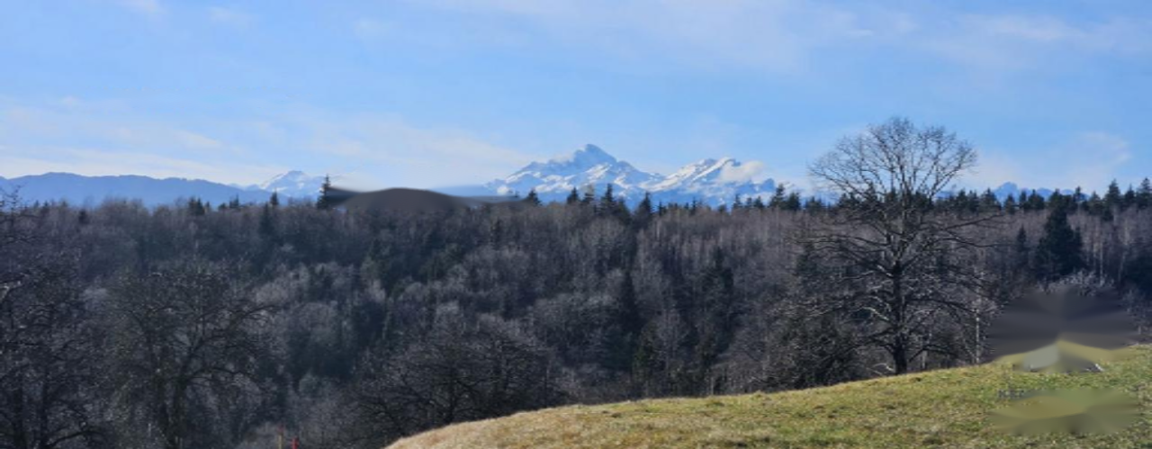 Земля в Лашко, Словения, 1 741 м² - фото 17