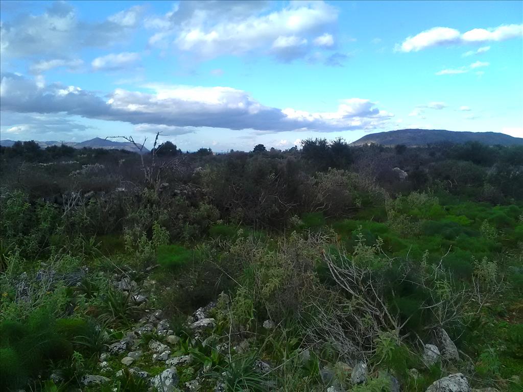 Земля в Ираклионе, Греция, 9 800 м² - фото 1