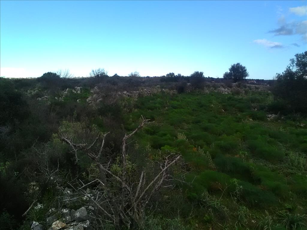 Земля в Ираклионе, Греция, 9 800 м² - фото 3