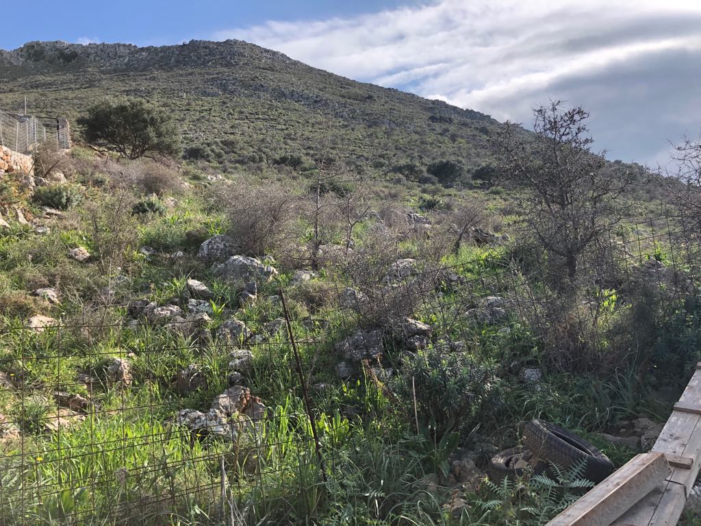 Земля в Ираклионе, Греция, 18 000 м² - фото 3