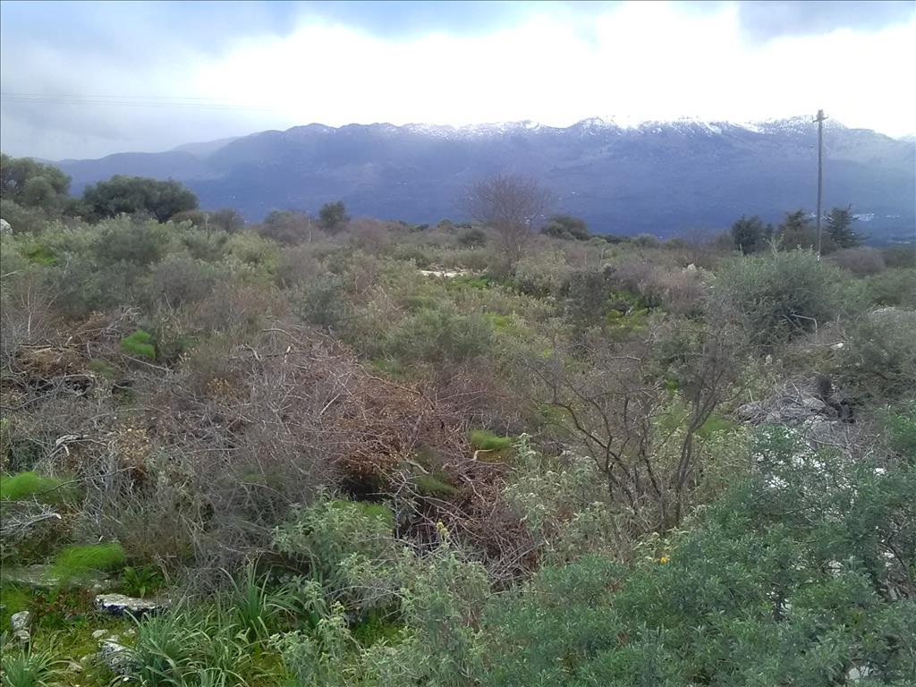 Земля в Ираклионе, Греция, 9 800 м² - фото 4