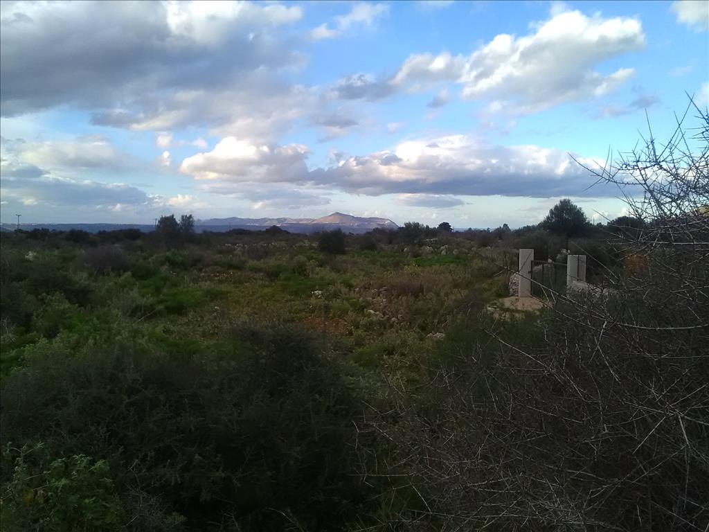 Земля в Ираклионе, Греция, 9 800 м² - фото 6