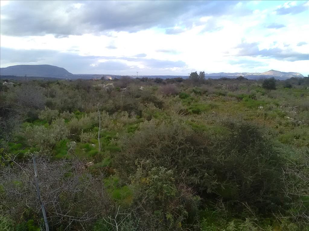 Земля в Ираклионе, Греция, 9 800 м² - фото 7